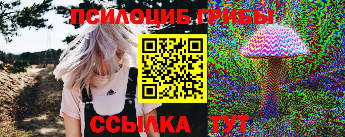 Псилоцибиновые грибы Psilocybine cubensis  Псилоцибиновые грибы мухоморы  Пугачёв  Вход с VPN 