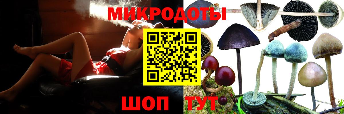 Галлюциногенные грибы ЛСД Пугачёв