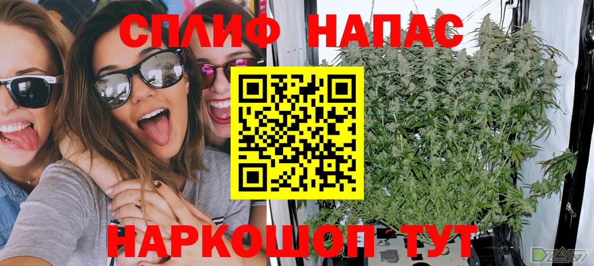 МАРИХУАНА планчик Пугачёв